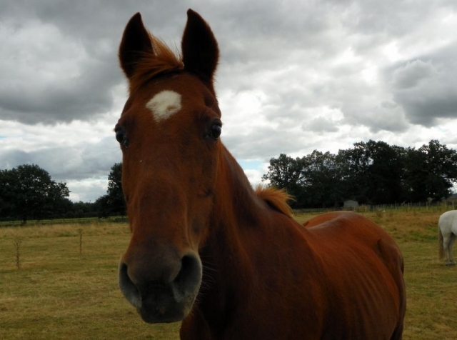  ¡ven a conocer a todos! 